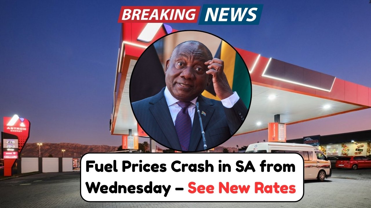 South Africans Rejoice